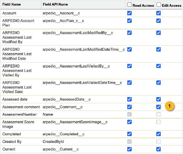 Field-level permissions for the Reflection Notes fields on the ARPEDIO Assessment object